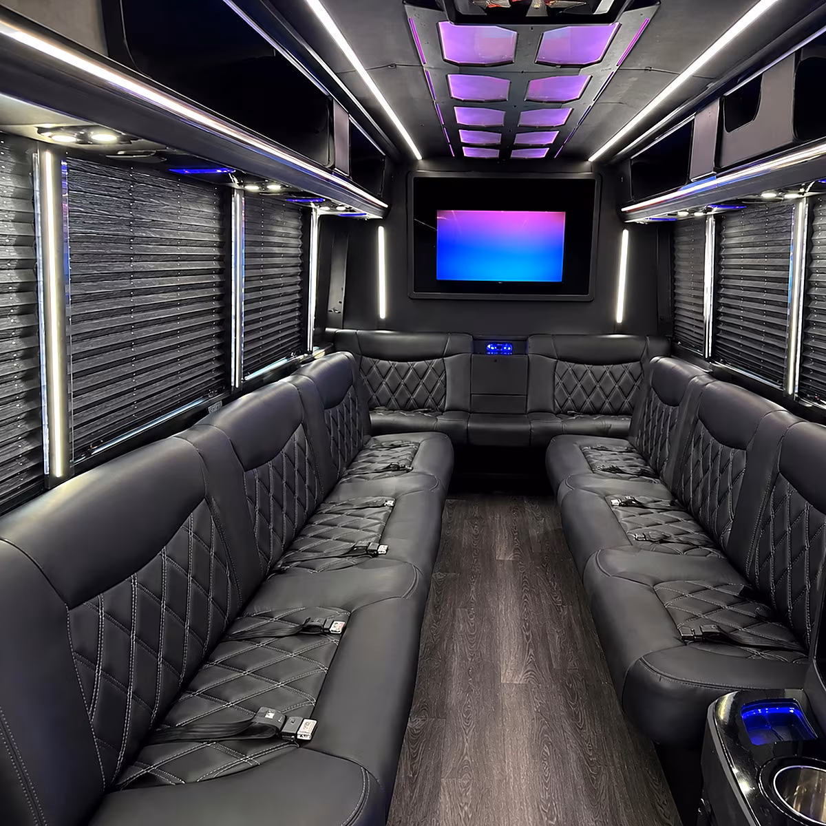 Vista Party Bus Rental